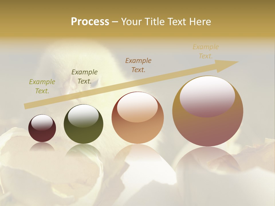 A Small Chicken Sitting Inside Of An Open Egg Shell PowerPoint Template