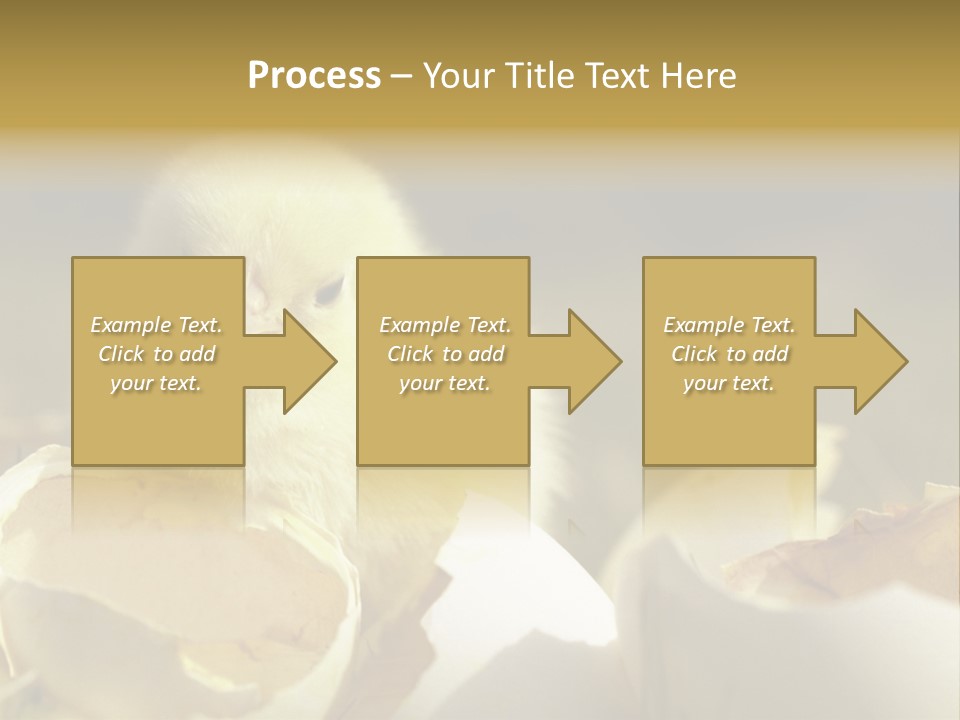 A Small Chicken Sitting Inside Of An Open Egg Shell PowerPoint Template