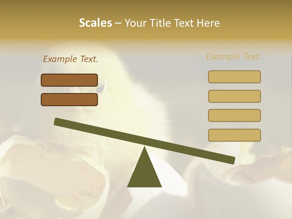 A Small Chicken Sitting Inside Of An Open Egg Shell PowerPoint Template