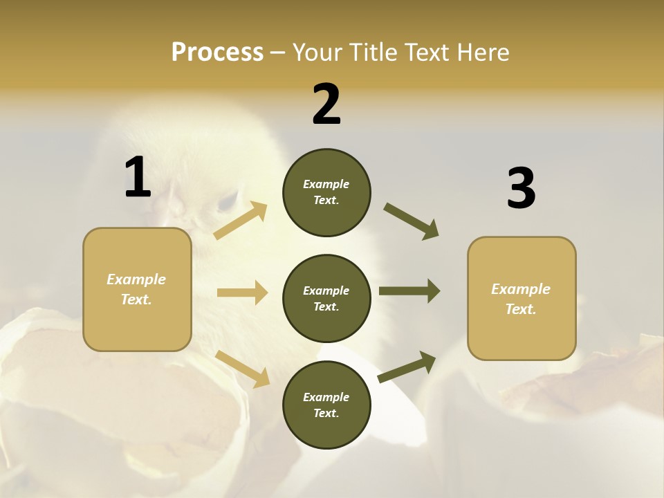 A Small Chicken Sitting Inside Of An Open Egg Shell PowerPoint Template