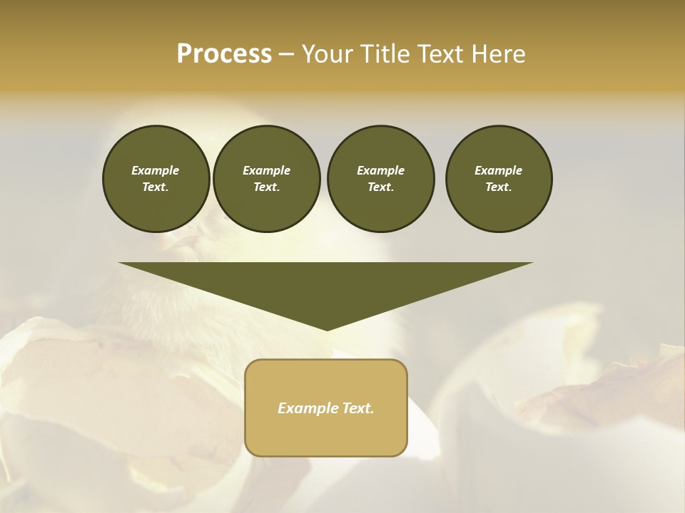 A Small Chicken Sitting Inside Of An Open Egg Shell PowerPoint Template