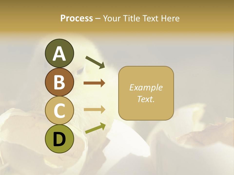A Small Chicken Sitting Inside Of An Open Egg Shell PowerPoint Template
