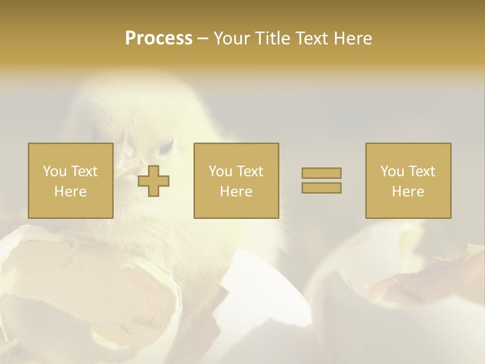 A Small Chicken Sitting Inside Of An Open Egg Shell PowerPoint Template