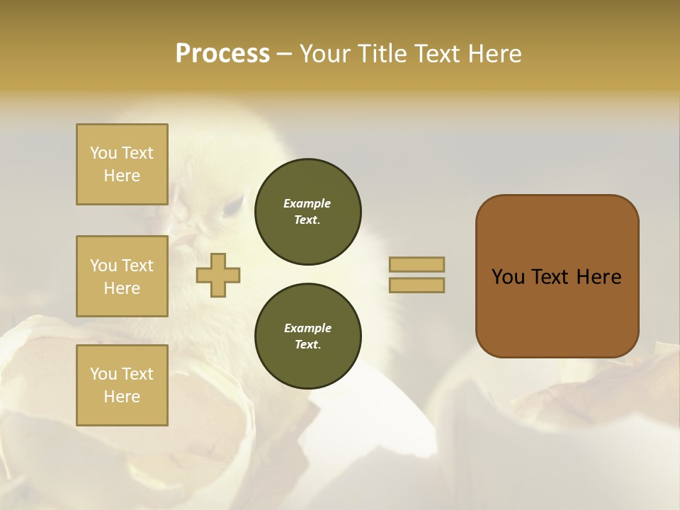 A Small Chicken Sitting Inside Of An Open Egg Shell PowerPoint Template