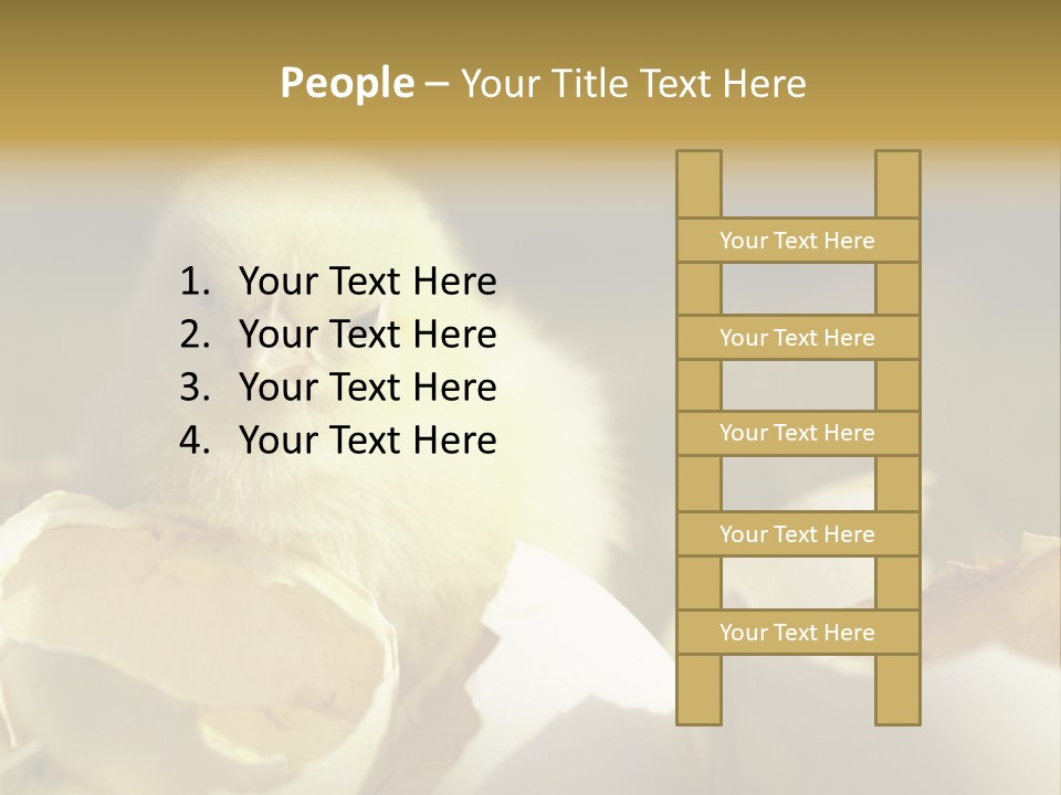 A Small Chicken Sitting Inside Of An Open Egg Shell PowerPoint Template