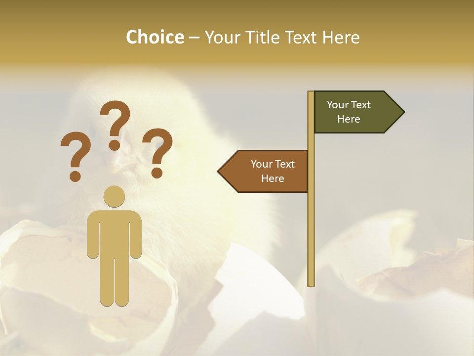 A Small Chicken Sitting Inside Of An Open Egg Shell PowerPoint Template