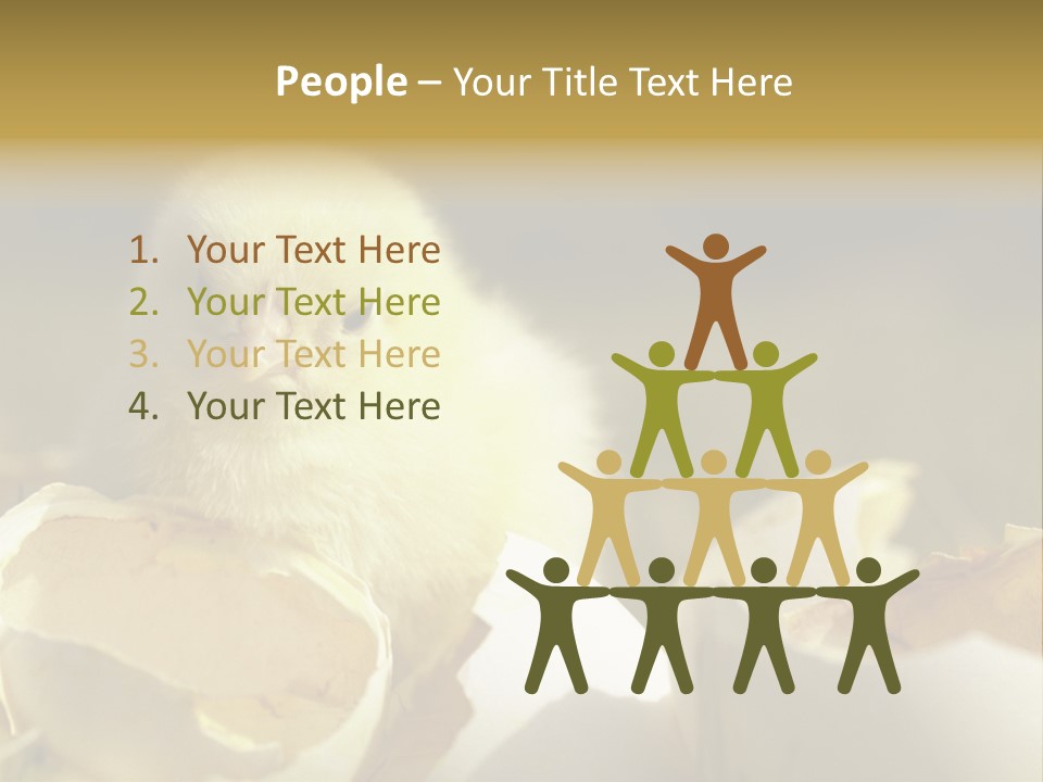 A Small Chicken Sitting Inside Of An Open Egg Shell PowerPoint Template