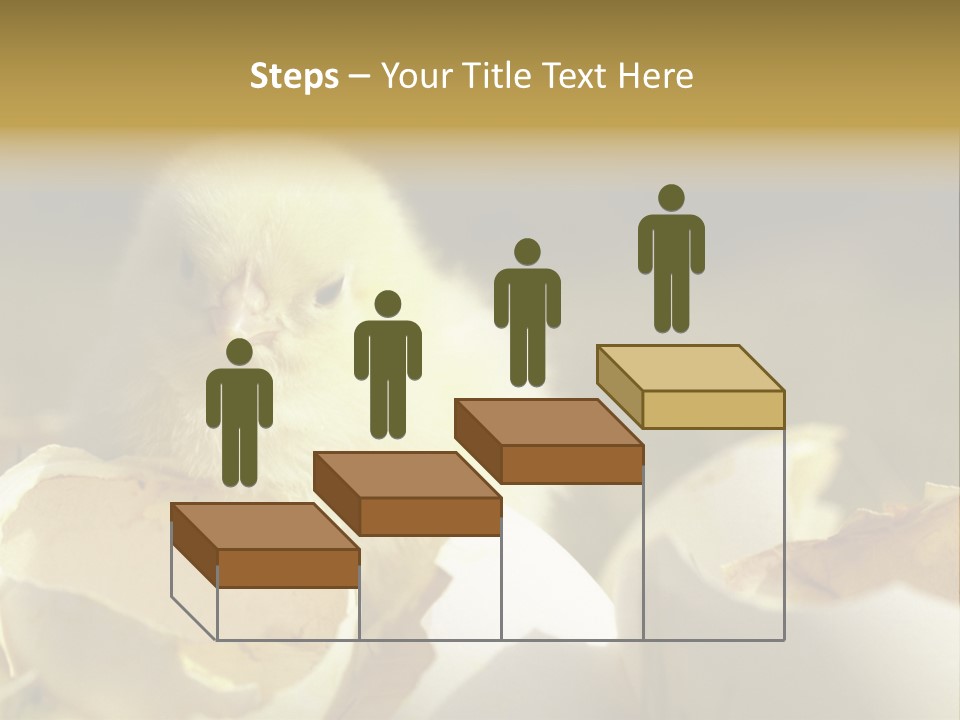 A Small Chicken Sitting Inside Of An Open Egg Shell PowerPoint Template