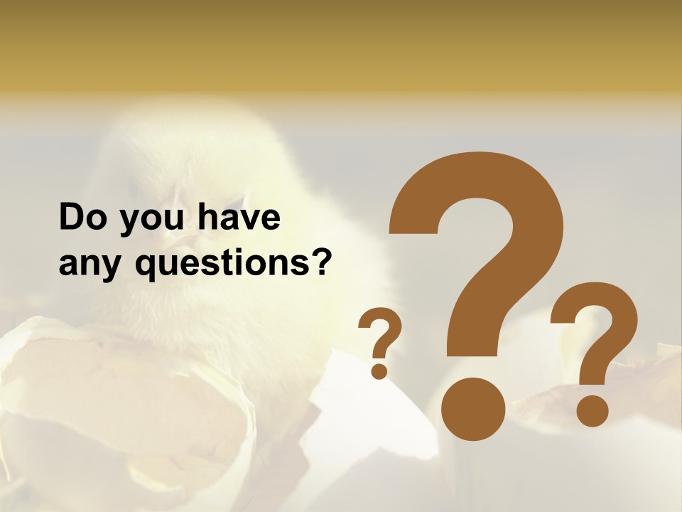 A Small Chicken Sitting Inside Of An Open Egg Shell PowerPoint Template