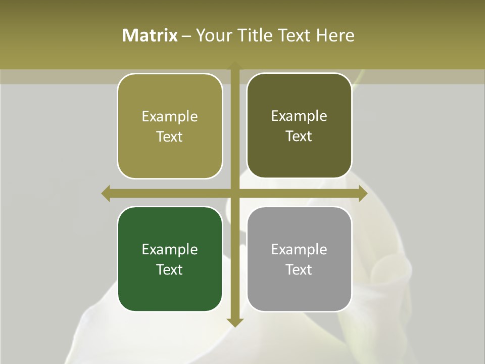 Calla Lillies PowerPoint Template