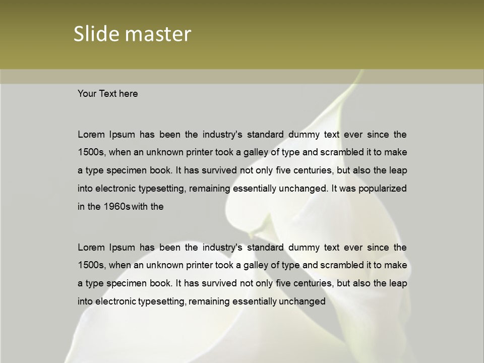 Calla Lillies PowerPoint Template