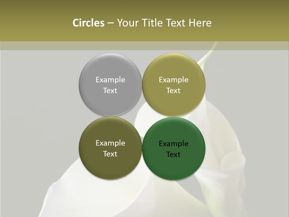 Calla Lillies PowerPoint Template