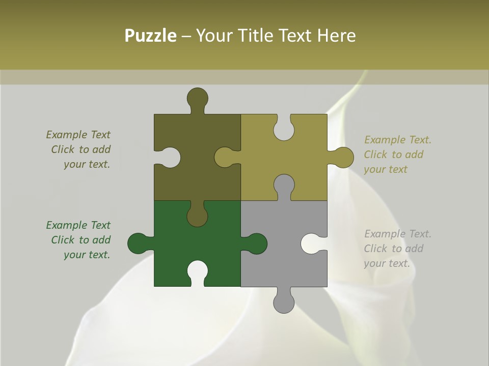 Calla Lillies PowerPoint Template