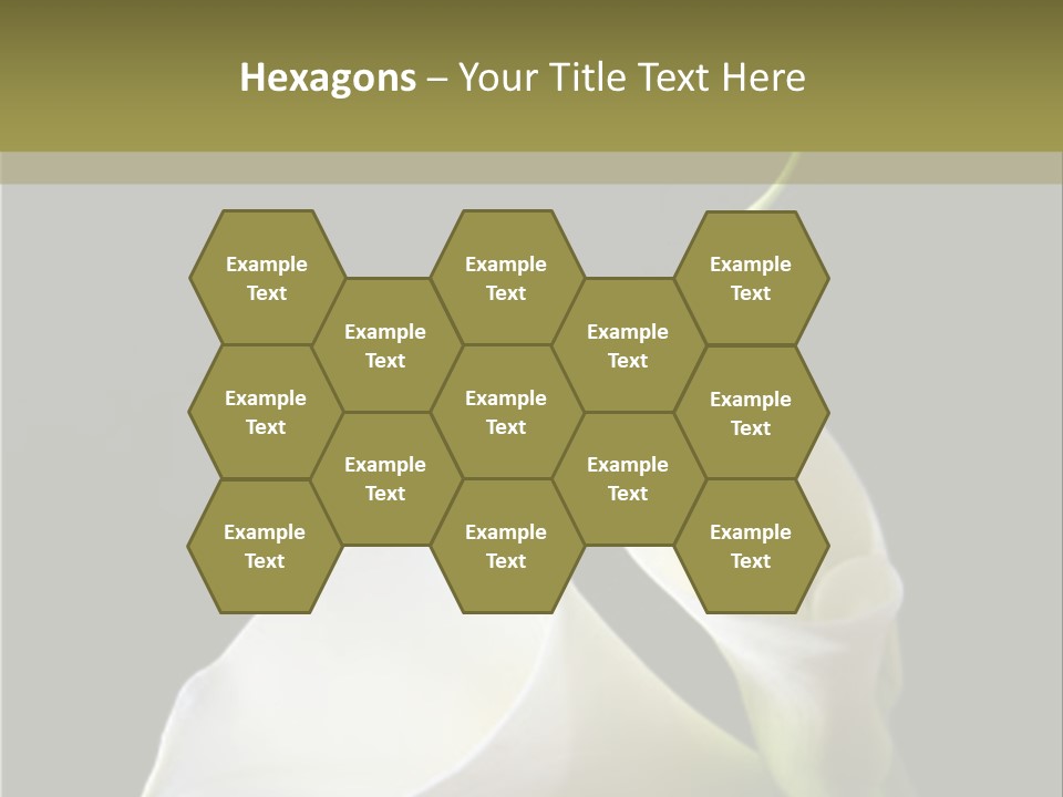 Calla Lillies PowerPoint Template