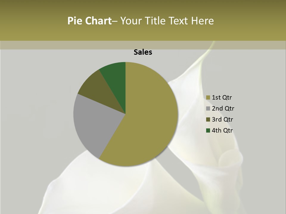 Calla Lillies PowerPoint Template