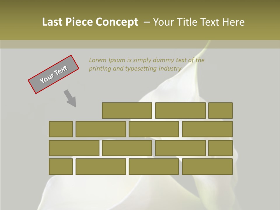 Calla Lillies PowerPoint Template