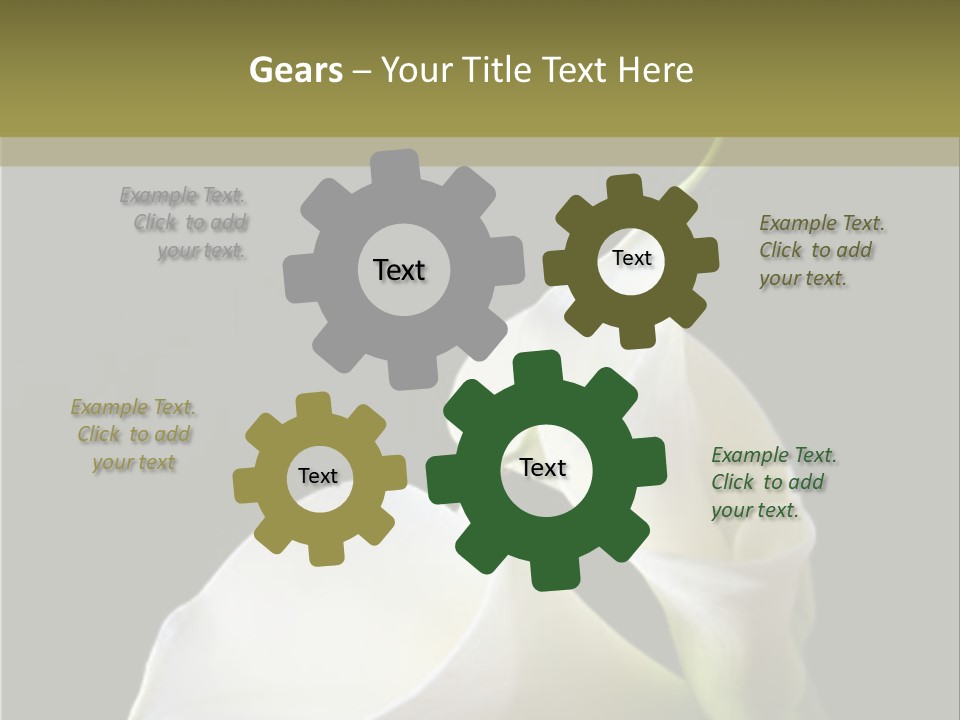 Calla Lillies PowerPoint Template