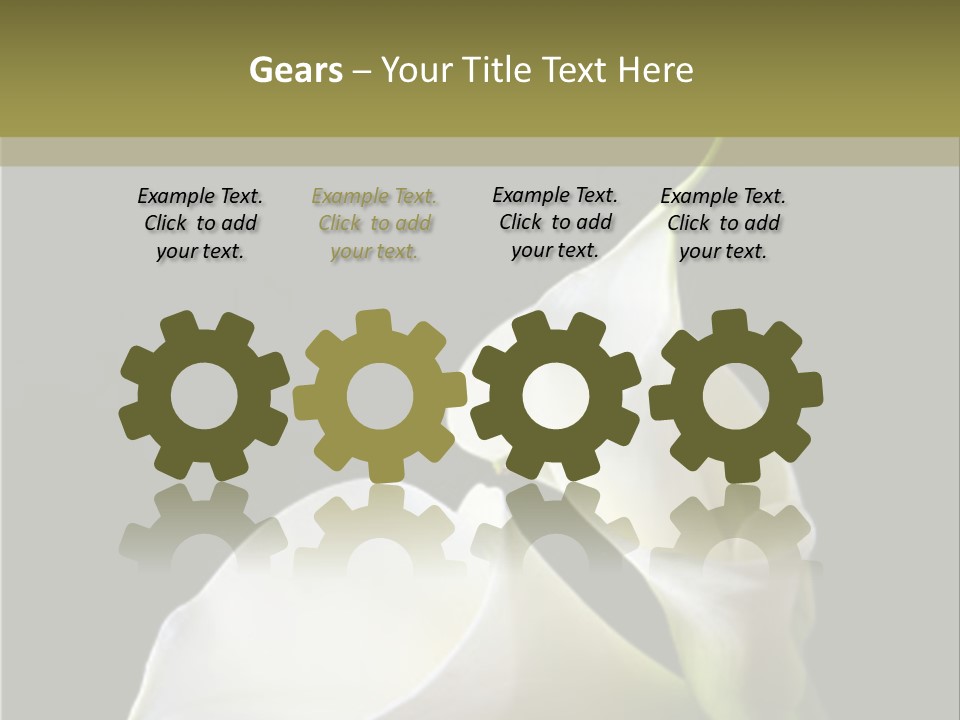 Calla Lillies PowerPoint Template