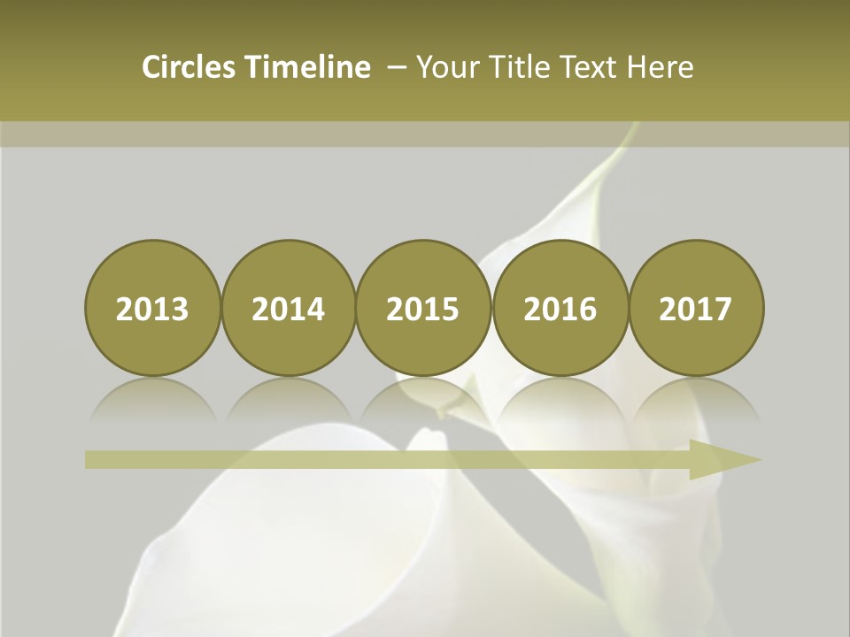 Calla Lillies PowerPoint Template