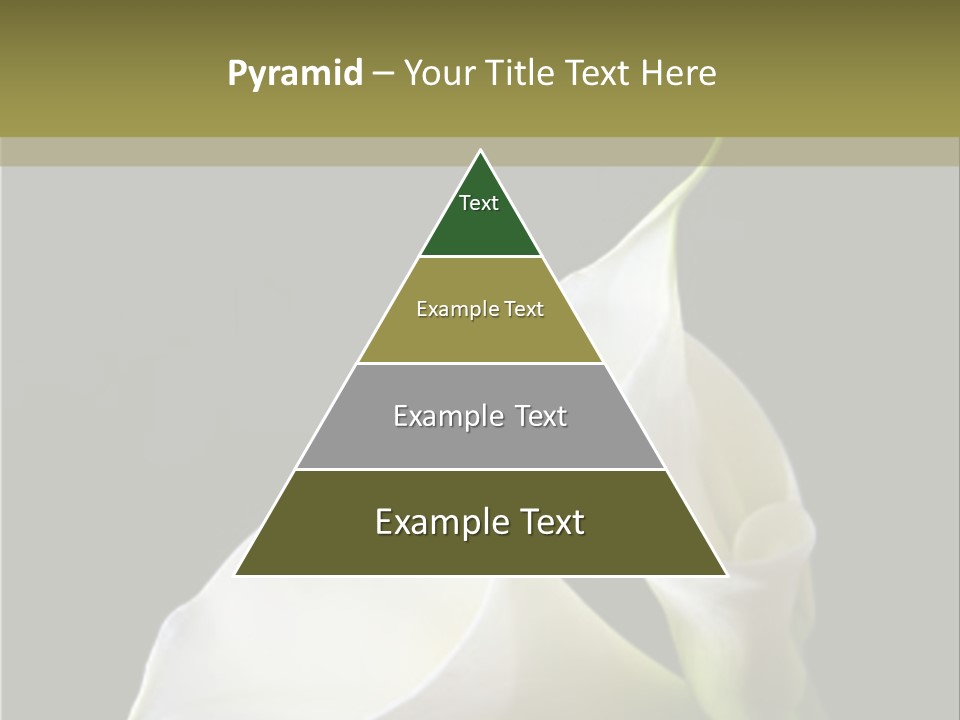 Calla Lillies PowerPoint Template