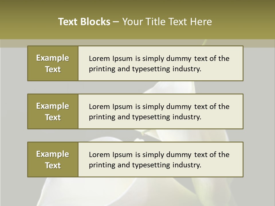 Calla Lillies PowerPoint Template