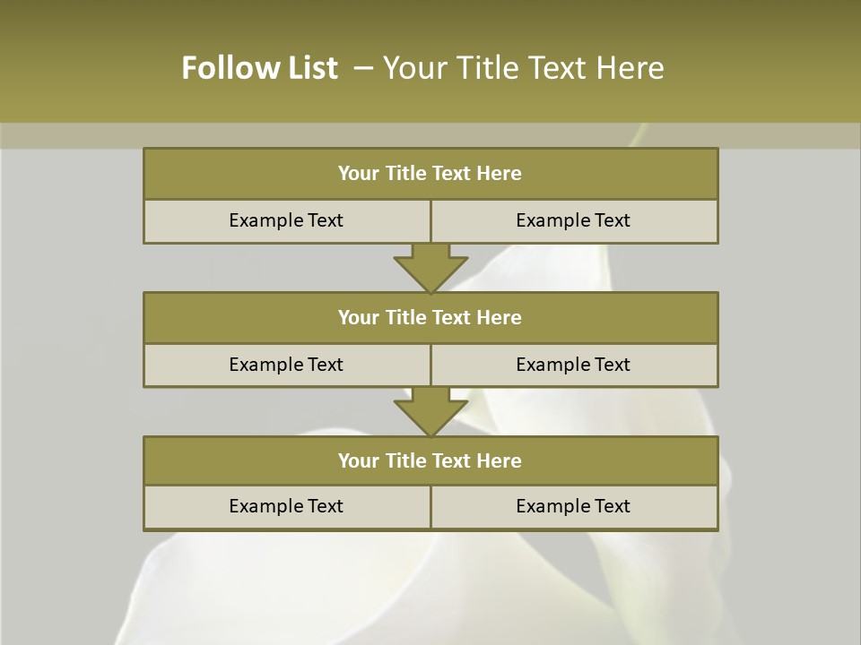Calla Lillies PowerPoint Template