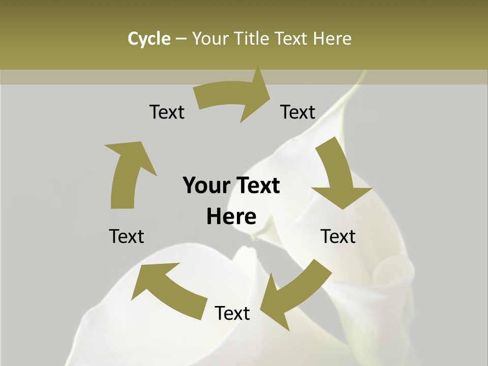 Calla Lillies PowerPoint Template