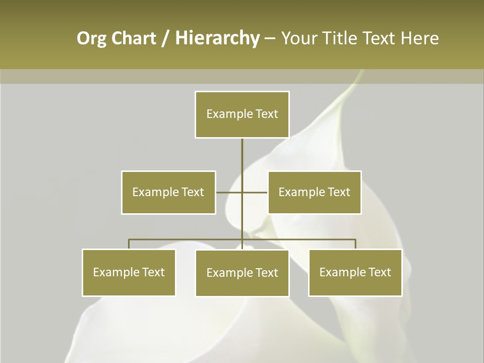 Calla Lillies PowerPoint Template