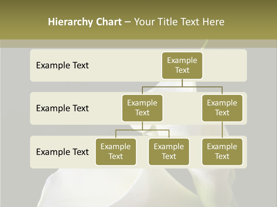 Calla Lillies PowerPoint Template