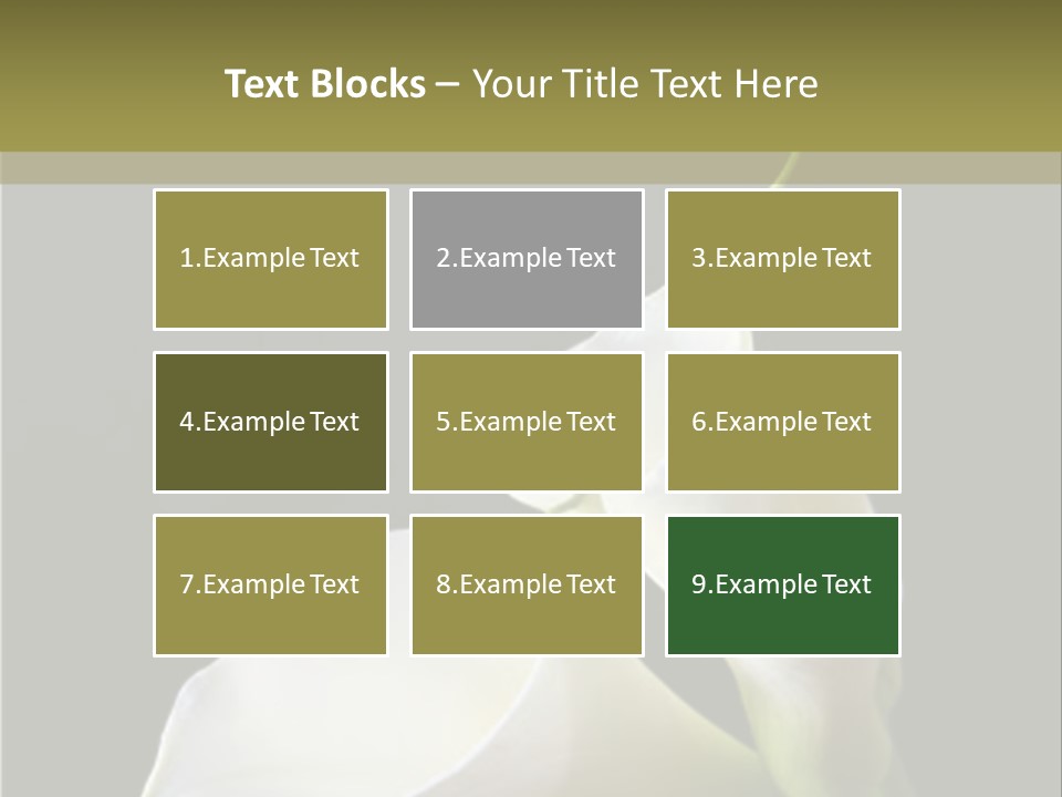 Calla Lillies PowerPoint Template