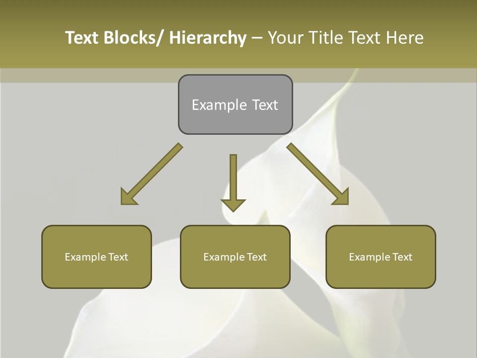 Calla Lillies PowerPoint Template