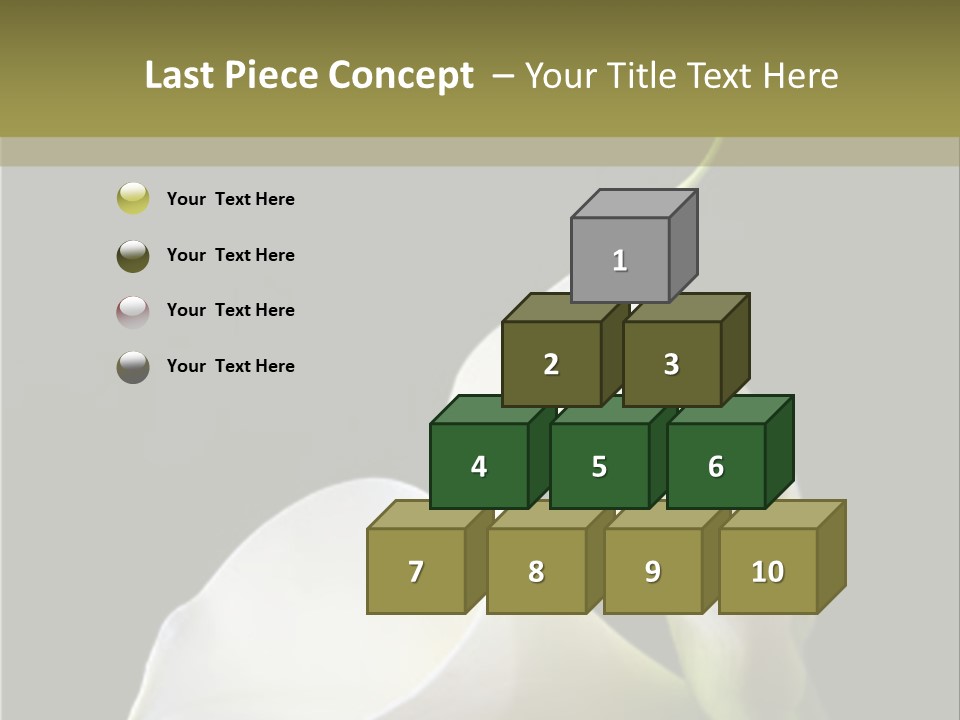 Calla Lillies PowerPoint Template