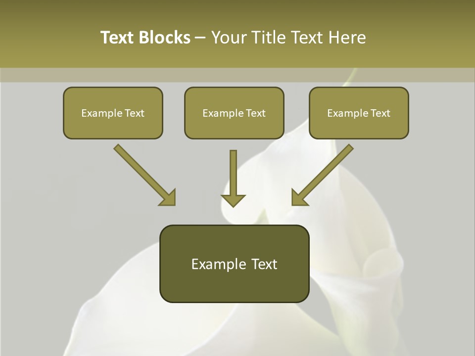 Calla Lillies PowerPoint Template