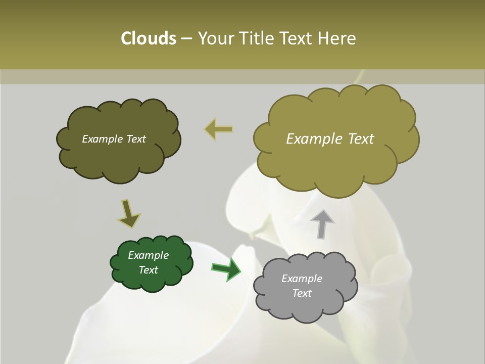 Calla Lillies PowerPoint Template