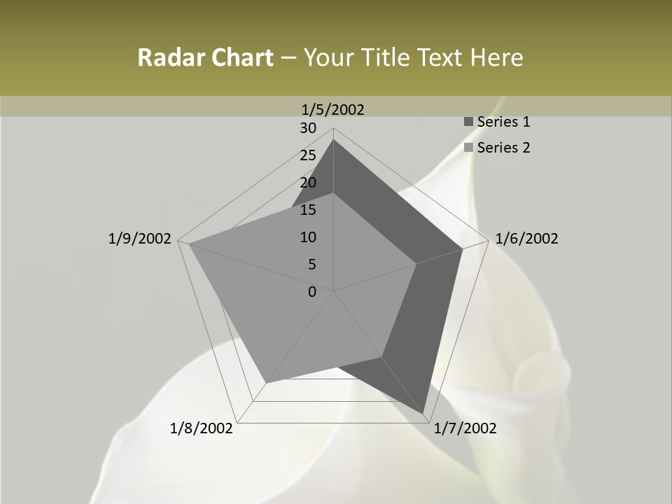 Calla Lillies PowerPoint Template