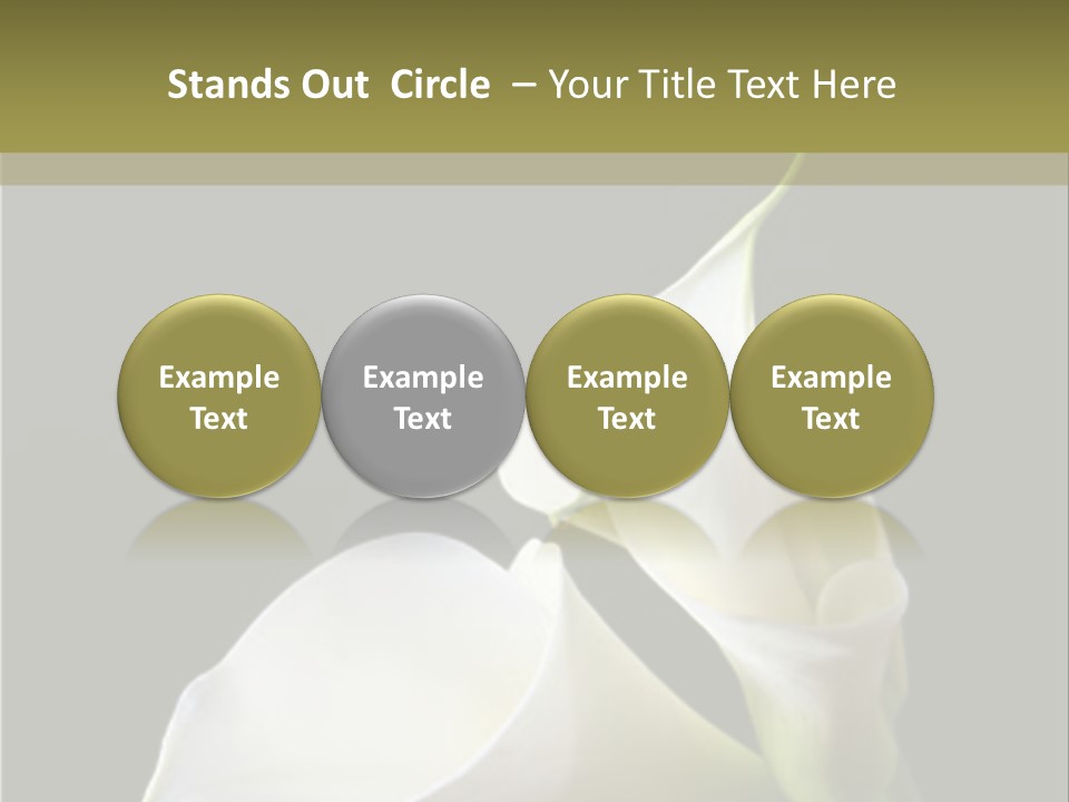 Calla Lillies PowerPoint Template