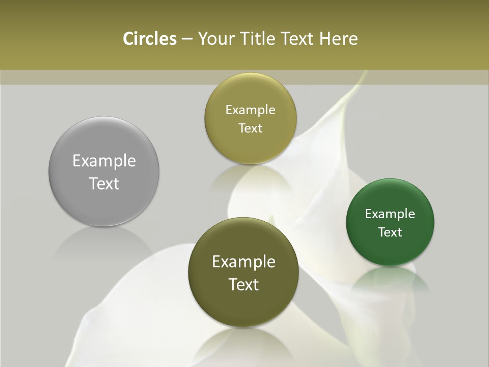 Calla Lillies PowerPoint Template