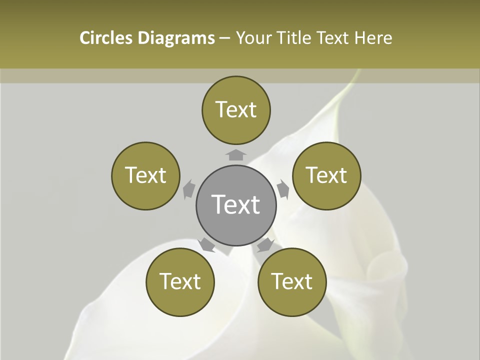 Calla Lillies PowerPoint Template