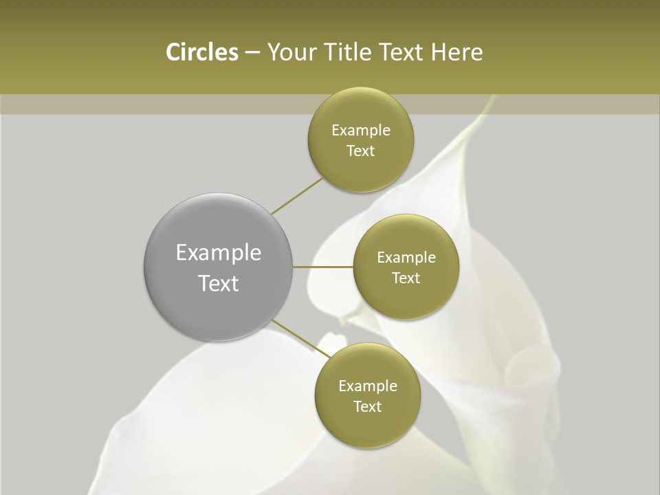 Calla Lillies PowerPoint Template