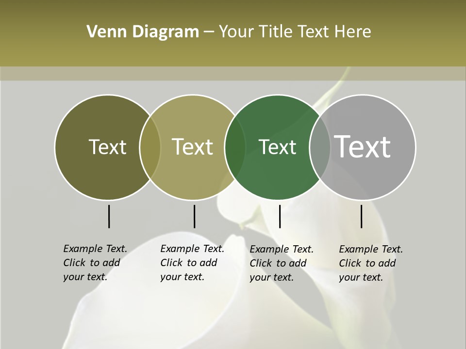 Calla Lillies PowerPoint Template