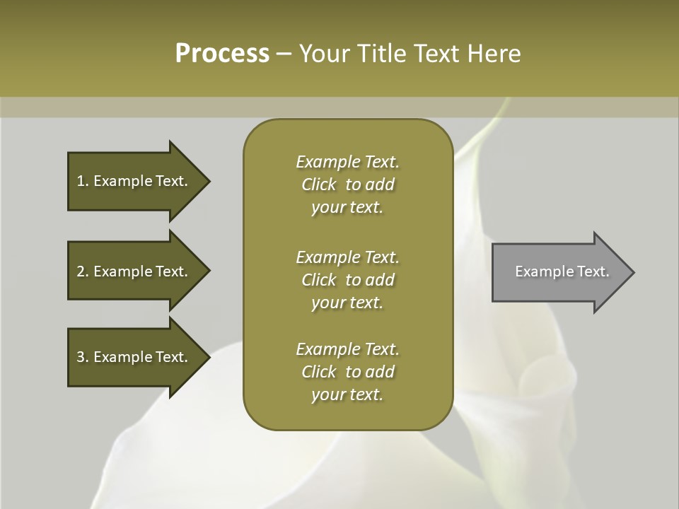 Calla Lillies PowerPoint Template