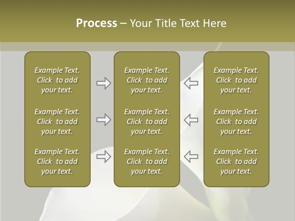 Calla Lillies PowerPoint Template