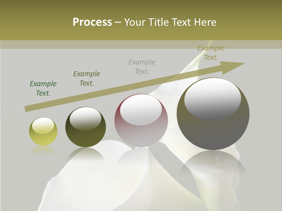 Calla Lillies PowerPoint Template