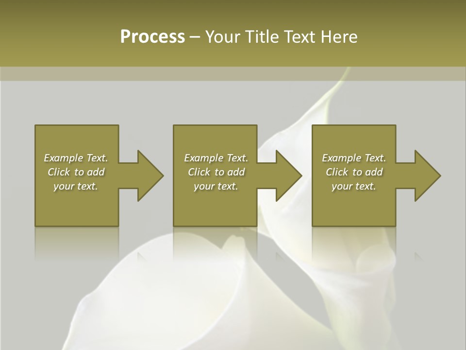 Calla Lillies PowerPoint Template