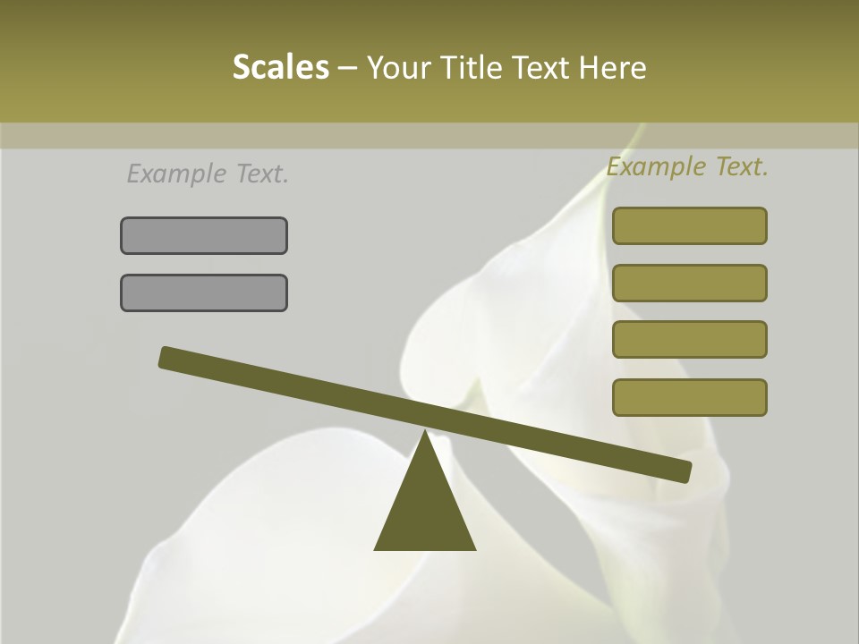 Calla Lillies PowerPoint Template