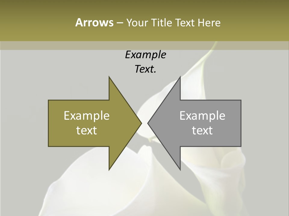 Calla Lillies PowerPoint Template