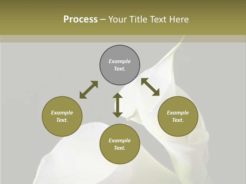 Calla Lillies PowerPoint Template
