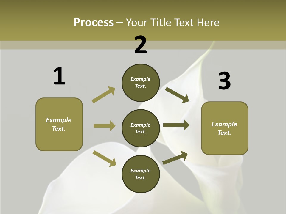 Calla Lillies PowerPoint Template