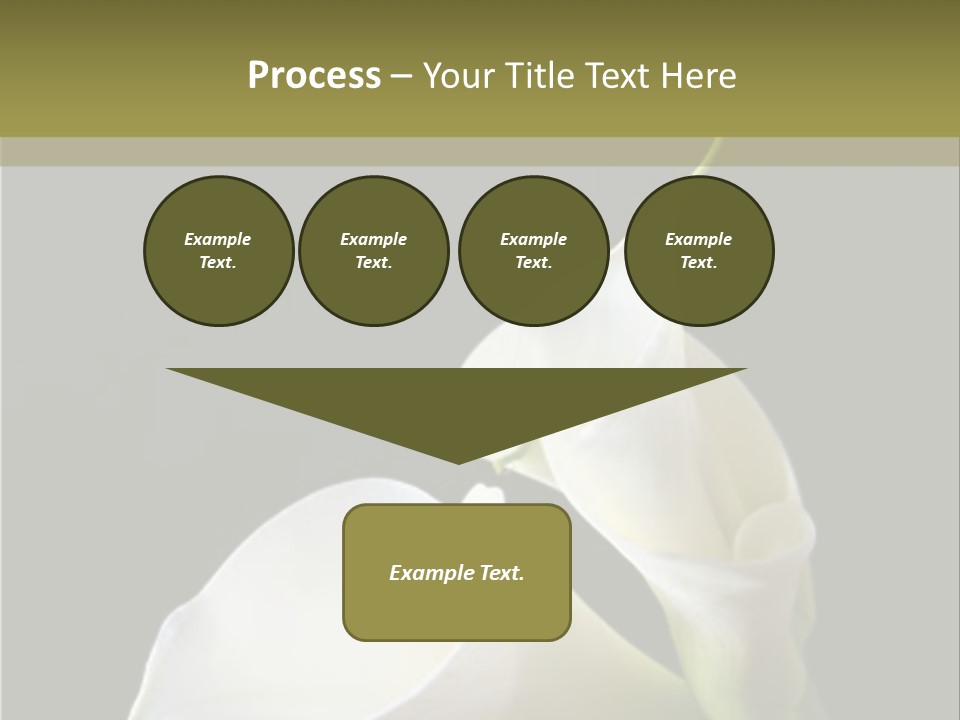 Calla Lillies PowerPoint Template