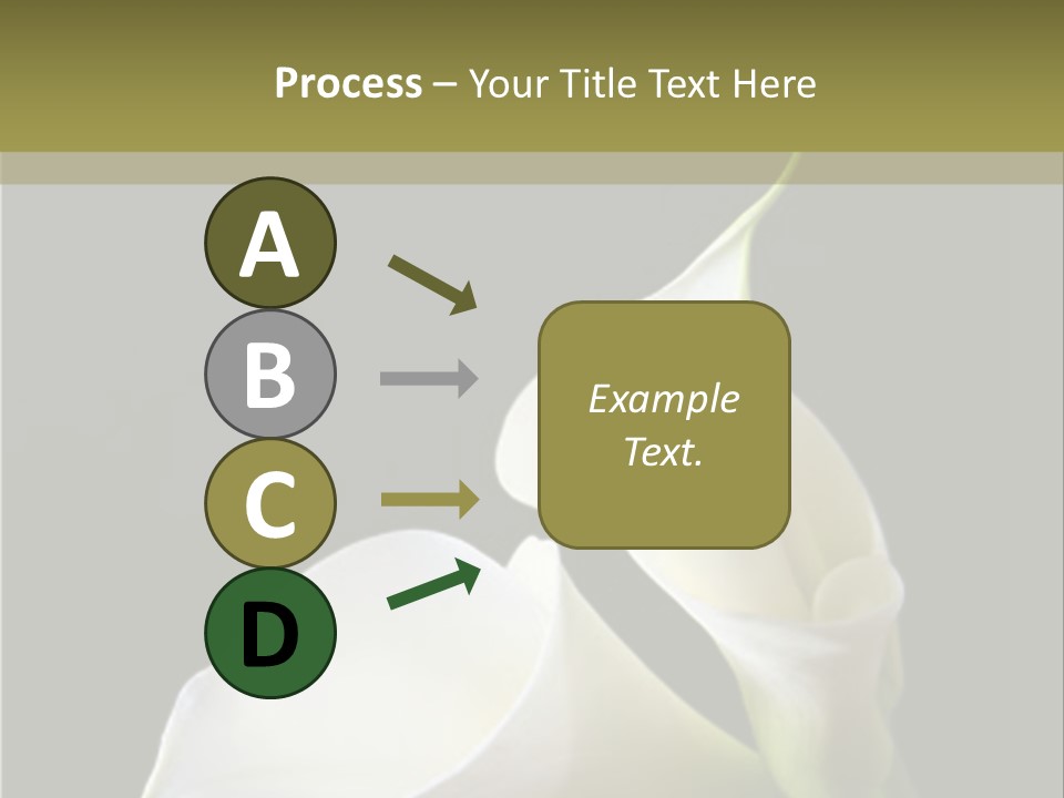 Calla Lillies PowerPoint Template